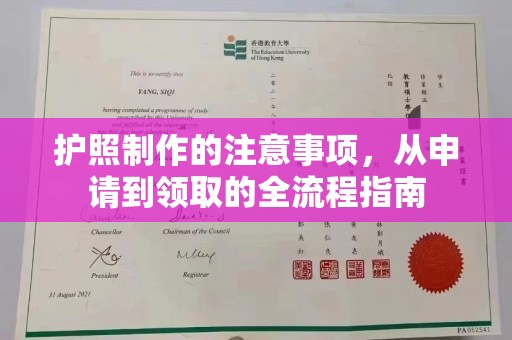 宜阳护照制作的注意事项，从申请到领取的全流程指南