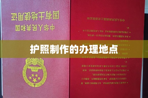 宜阳护照制作的办理地点