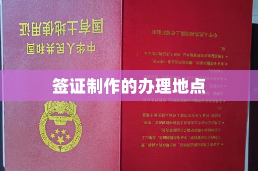宜阳签证制作的办理地点