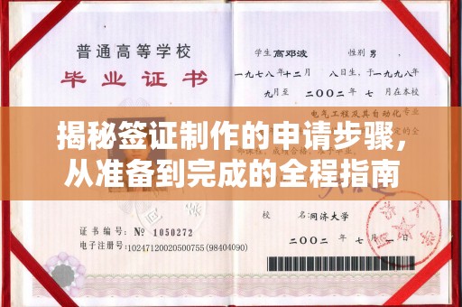 宜阳揭秘签证制作的申请步骤，从准备到完成的全程指南